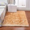 Area Rug Fluffy Imitation Wool